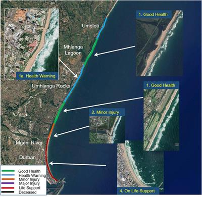 Coasts in Peril? A Shoreline Health Perspective